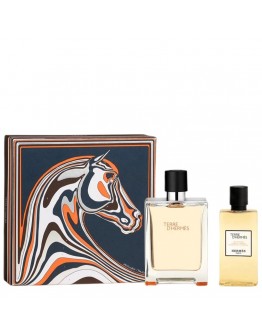 COFFRET HERMÈS TERRE D'HERMÈS EDT 100 ml